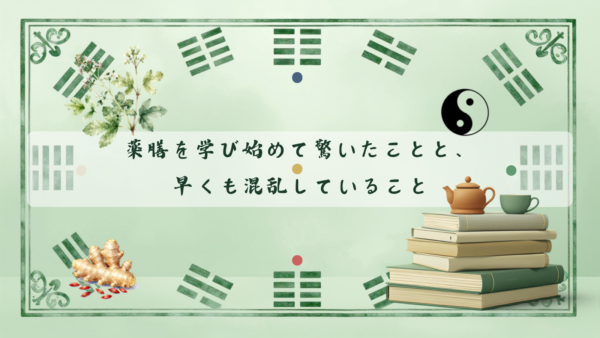 薬膳って料理のことだけじゃなかった｜学び始めて驚いたことと、早くも混乱していること