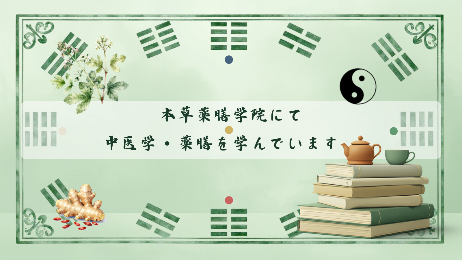 本草薬膳学院にて中医学・薬膳を学び始めました。